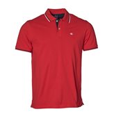 Champion LT COTTON PIKE RED